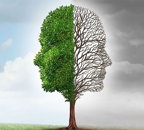 Uncertainty in creative research