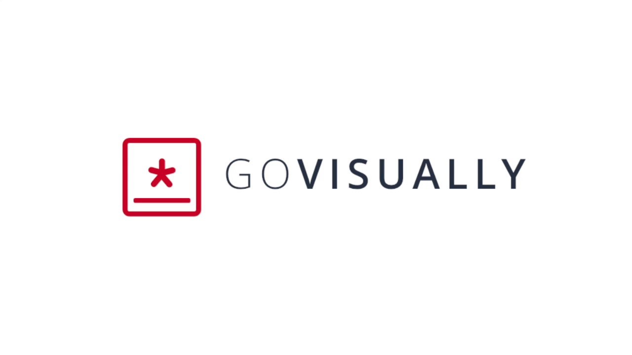 GoVisually logo on the blank screen