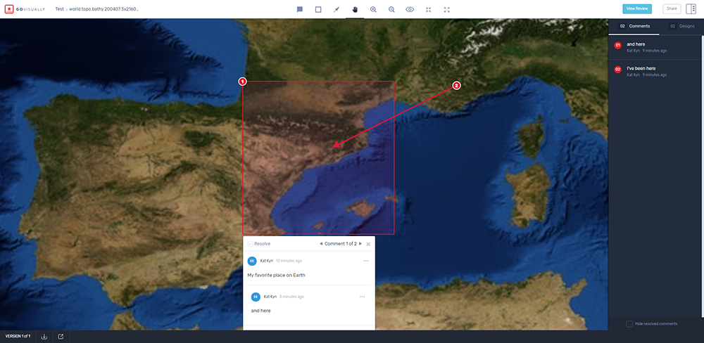 govisually review tool screenshot