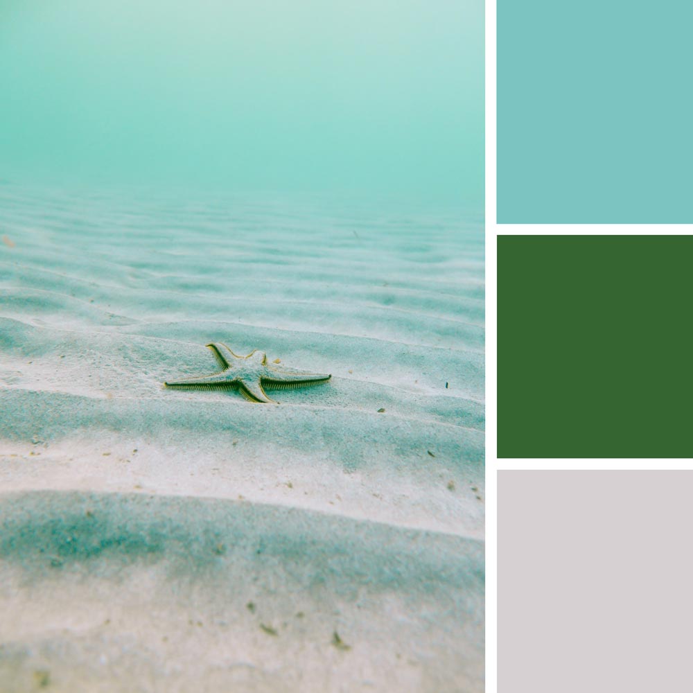 Color Palette Ideas from Sea Water Body Of Image  Ocean color palette,  Color palette, Turquoise color palette