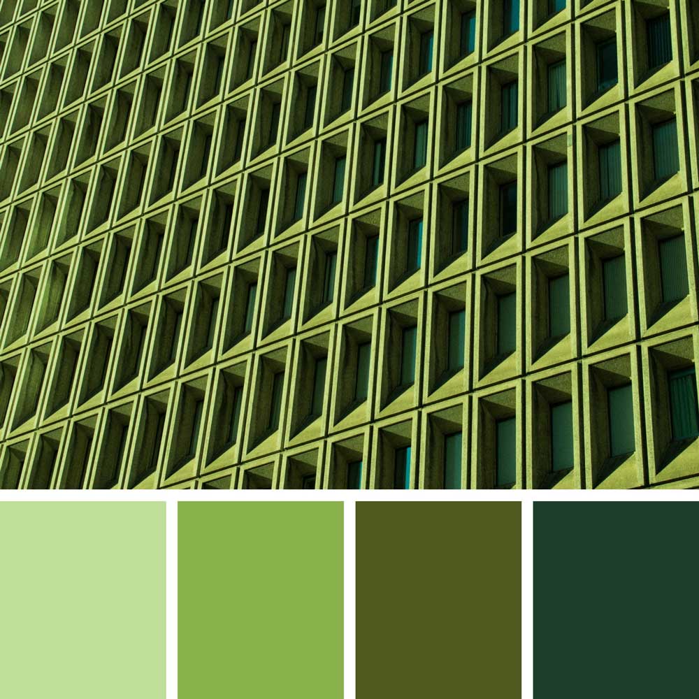 Pantone Cedar Green  Pantone green, Pantone colour palettes, Pantone color