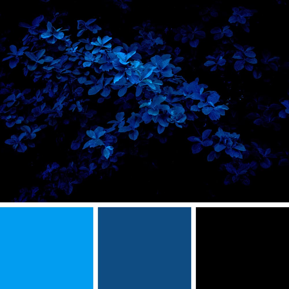 https://approval.studio/wp-content/uploads/2021/01/Pantone-2020-Classic-Blue-Color-Palette.jpg