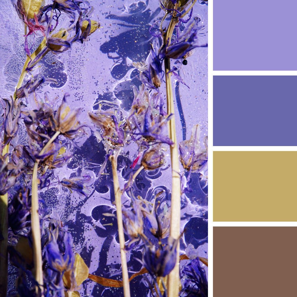 Pantone 2022 Very Peri Color Palette