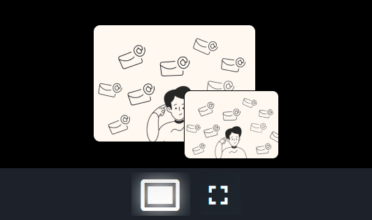 Video review tool window size control illustration