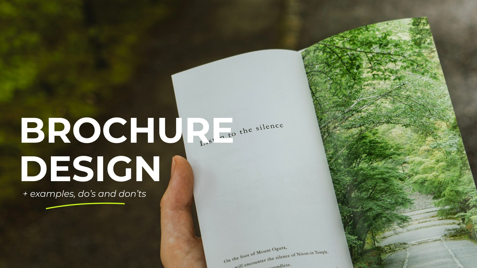 banner image for brochure design article