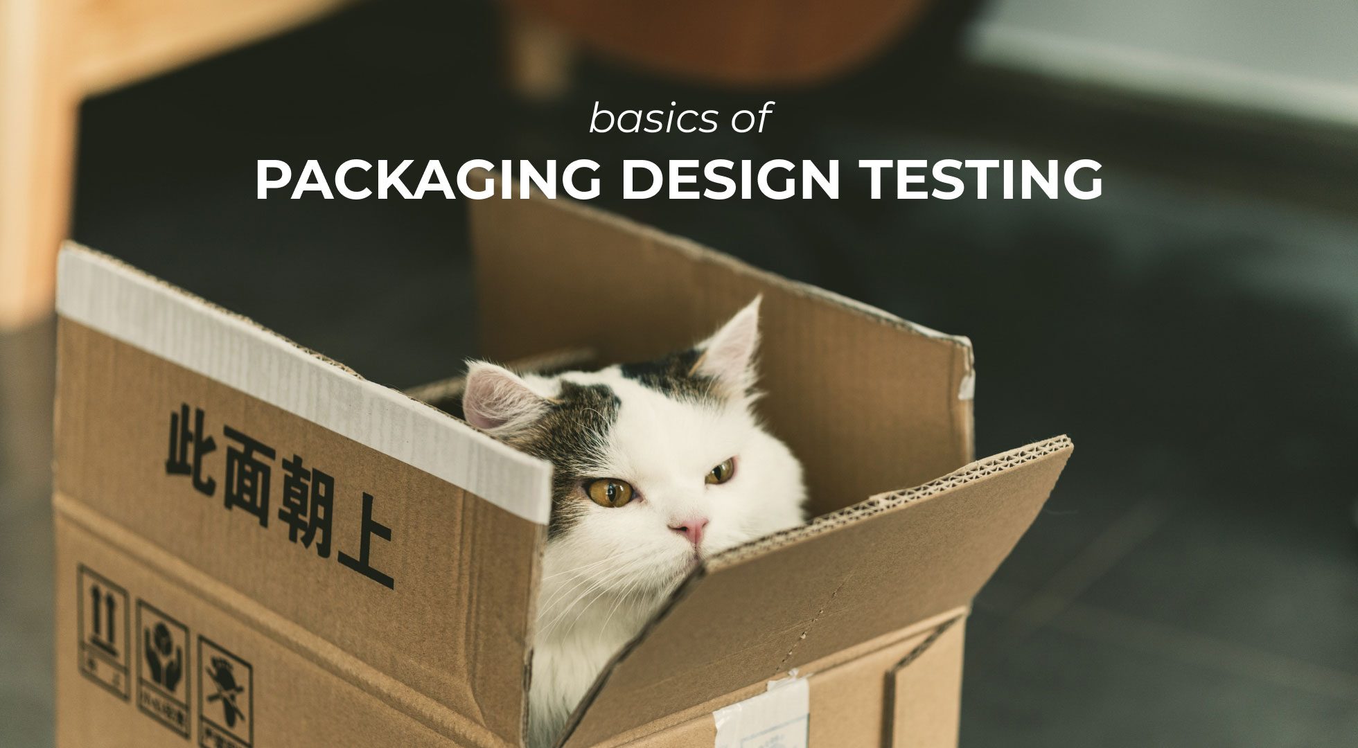 Basics of Packaging Design Testing