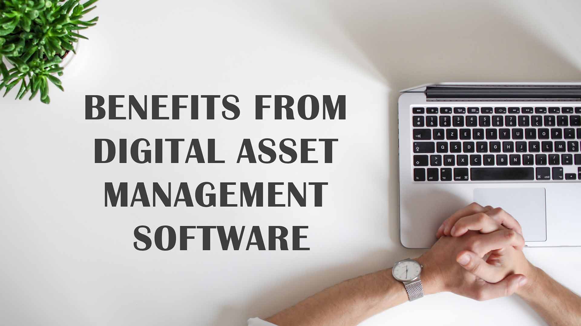 digital-asset-managment-software
